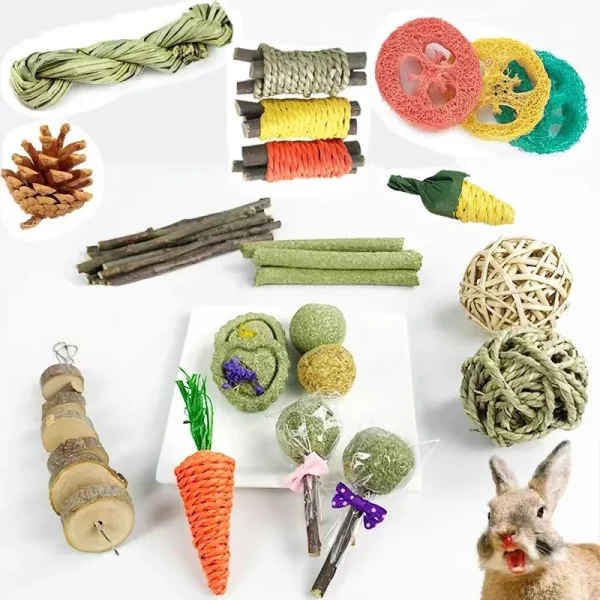 Rabbit Guinea Pig Dragon Cat Chew Toys
